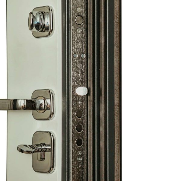 Modern new armor door with chrome metal locks and handle isolated